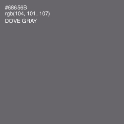 #68656B - Dove Gray Color Image